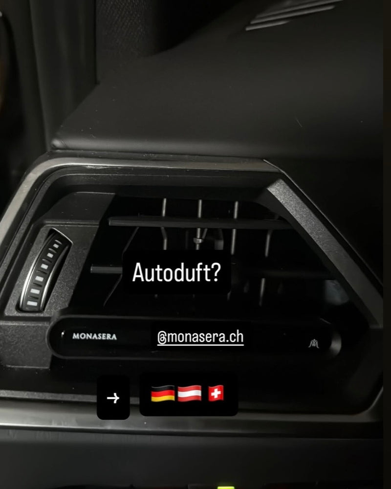 Monasera im Auto eines Kunden