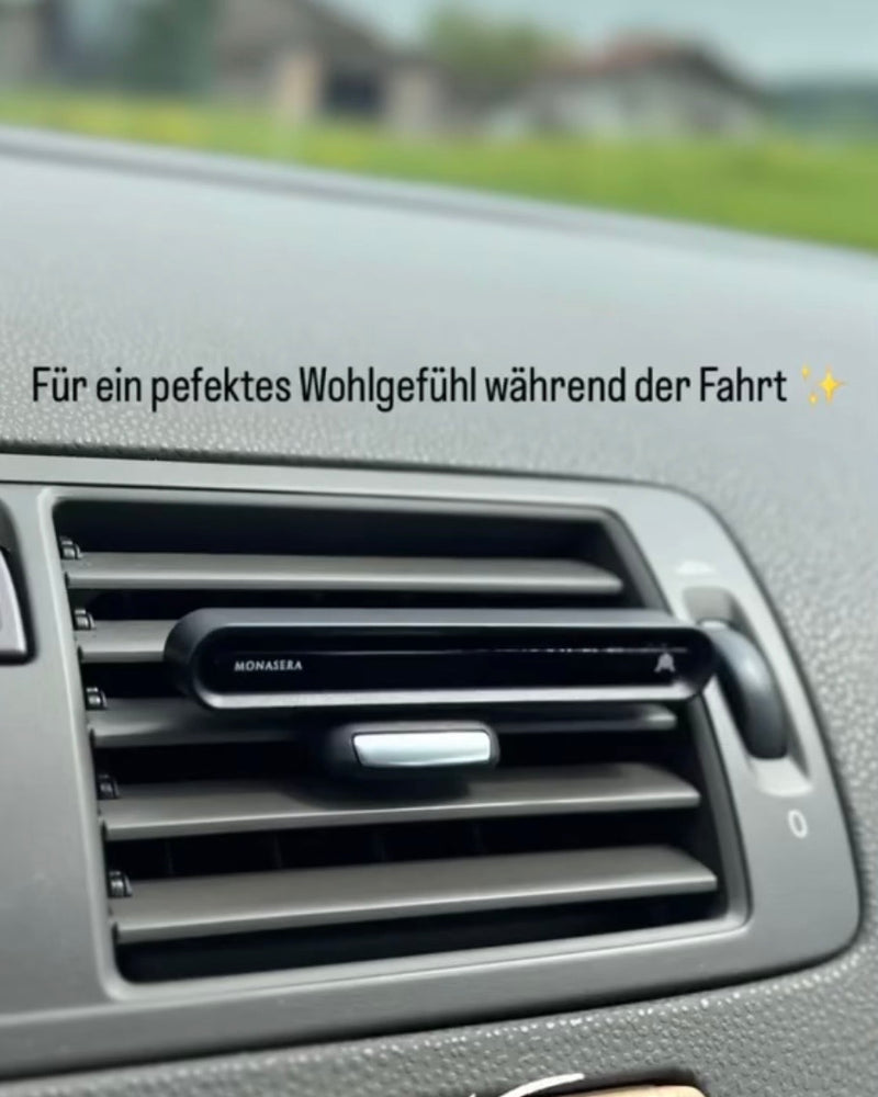Monasera im Auto eines Kunden