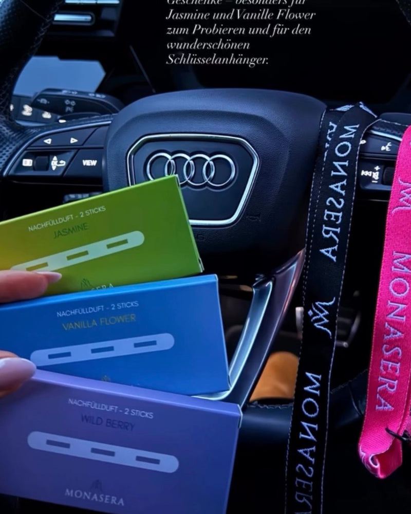 Monasera im Auto eines Kunden