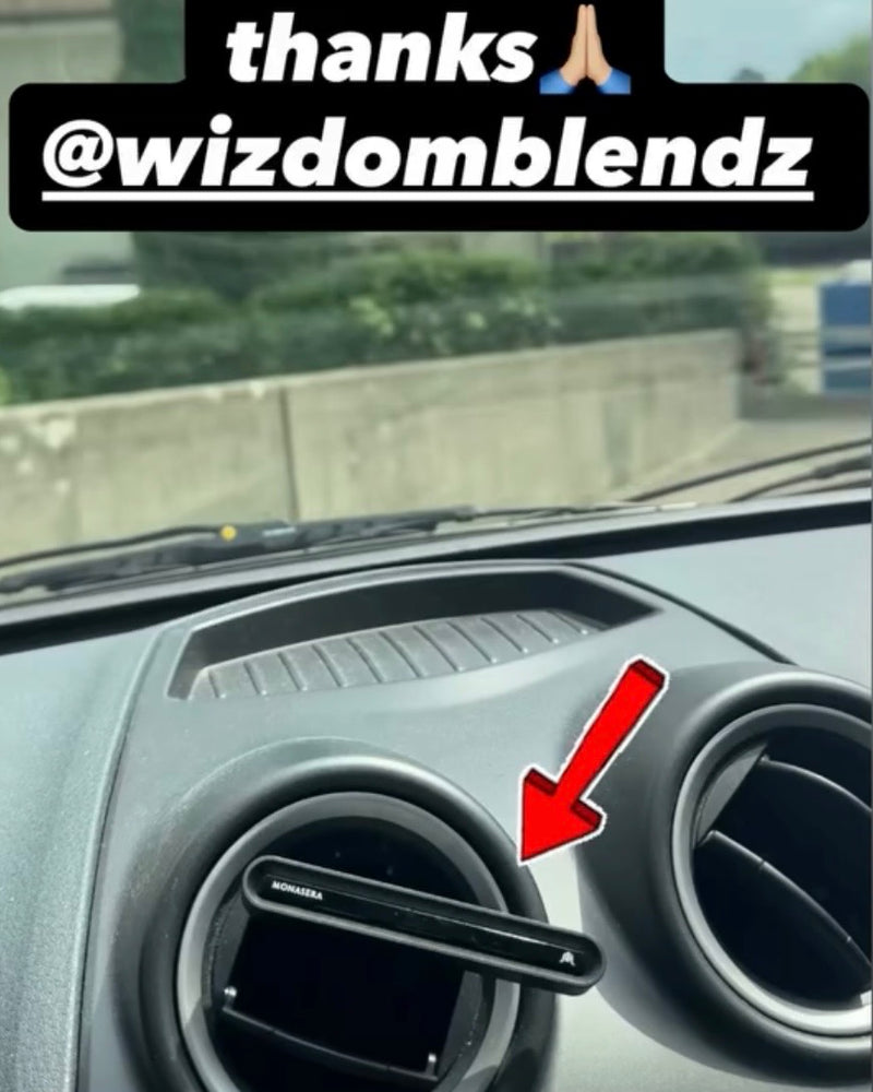 Monasera im Auto eines Kunden